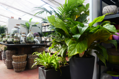4-gallery-2