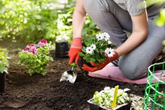 AdobeStock_154727885