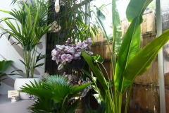 GP-Piante-appartamento-interno-2