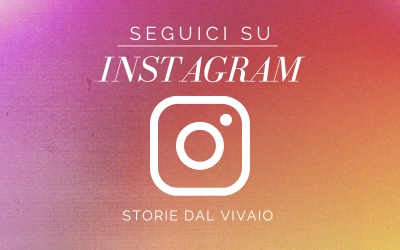 Icona Instagram bianca su sfondo gradiente arancione-fucsia e la scritta "seguici su Instagram - Storie dal vivaio"