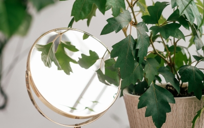 TRASFORMA IL TUO BAGNO IN UN SANTUARIO VERDE