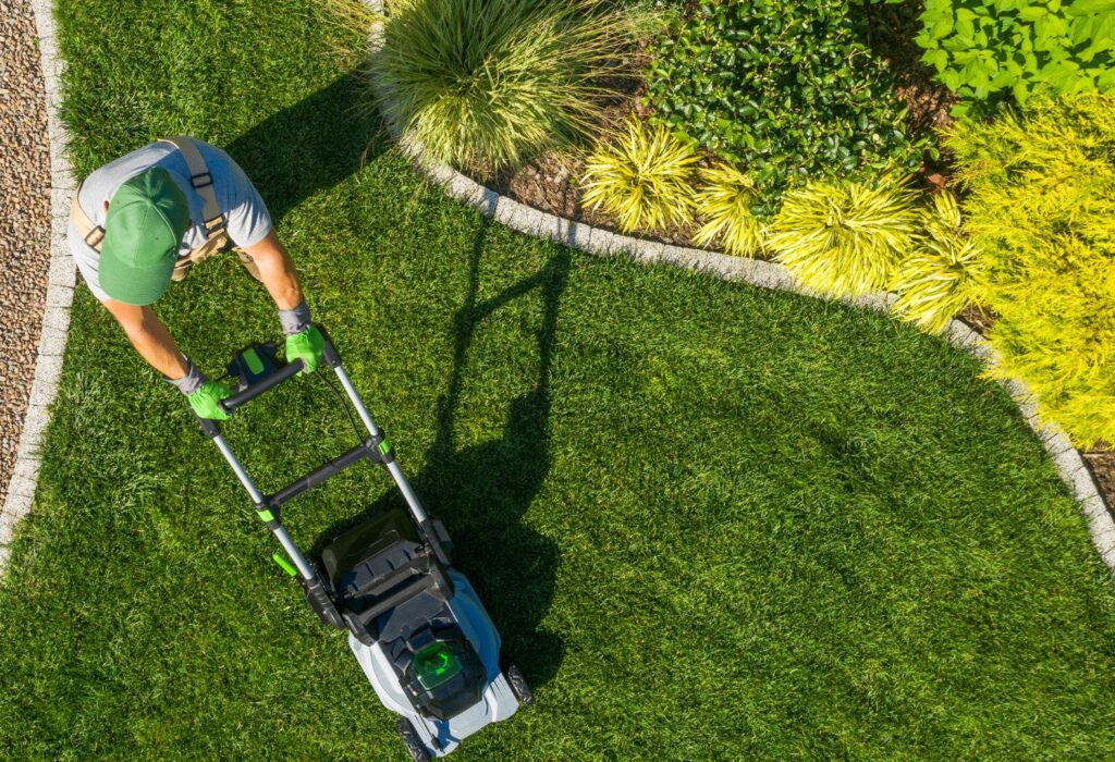 Manutenzione di un giardino realizzato da Gardin Piante Servizi per il Verde in Veneto, tra Padova e Venezia