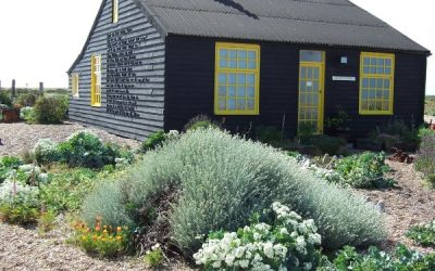 IL GIARDINO DI DEREK JARMAN: LA NATURA SI FONDE NEL GIARDINO