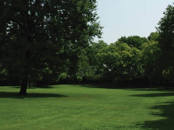 Tappeti erbosi a rotoli