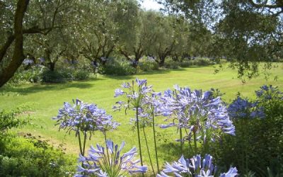 IL GIARDINO DELLA LANDRIANA