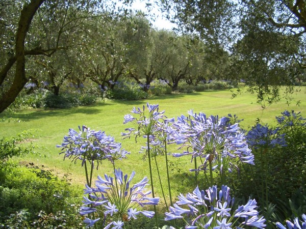 IL GIARDINO DELLA LANDRIANA