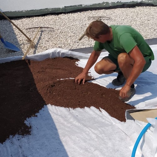 Tetti Verdi e Giardini Pensili