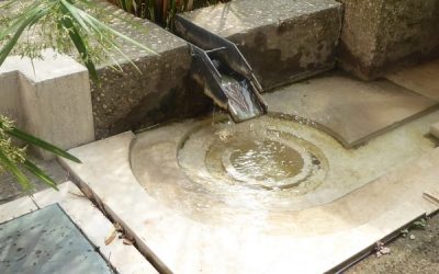 IL GIARDINO DI CARLO SCARPA A VENEZIA