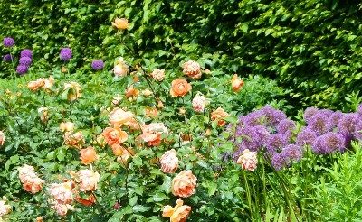 BORDURE E AIUOLE DA SOGNO: LA GUIDA