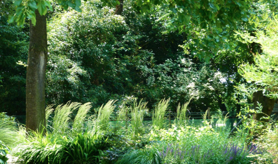 GIARDINO, TERRAZZO, TETTO VERDE: SOPRALLUOGO GRATUITO