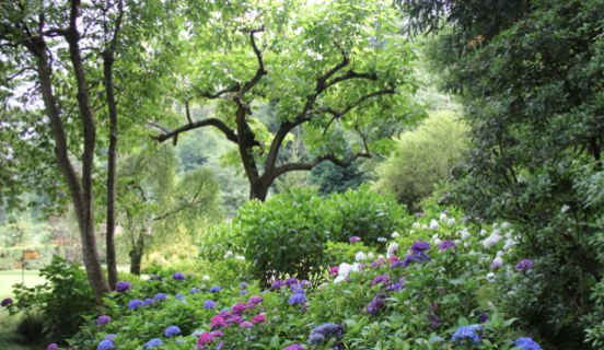 COME CREARE IL GIARDINO IDEALE IN 5 PASSI
