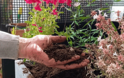 FESTEGGIA LA GIORNATA DELLA TERRA CON NOI!