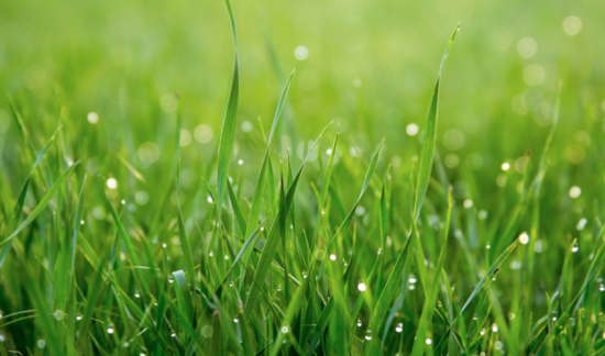 GUIDA IMPIANTO IRRIGAZIONE PER GIARDINO E TERRAZZO