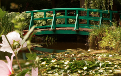 IL GIARDINO DI MONET: NINFEE E COLORI
