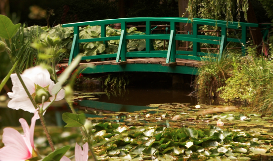 IL GIARDINO DI MONET: NINFEE E COLORI