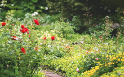 IL GIARDINO DEI TUOI SOGNI: CREALO CON NOI