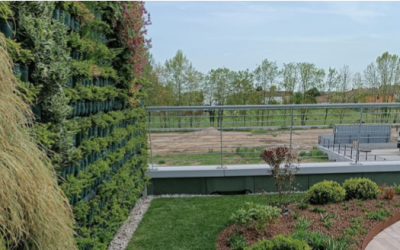 TETTO VERDE E FOTOVOLTAICO: TUTTI I VANTAGGI