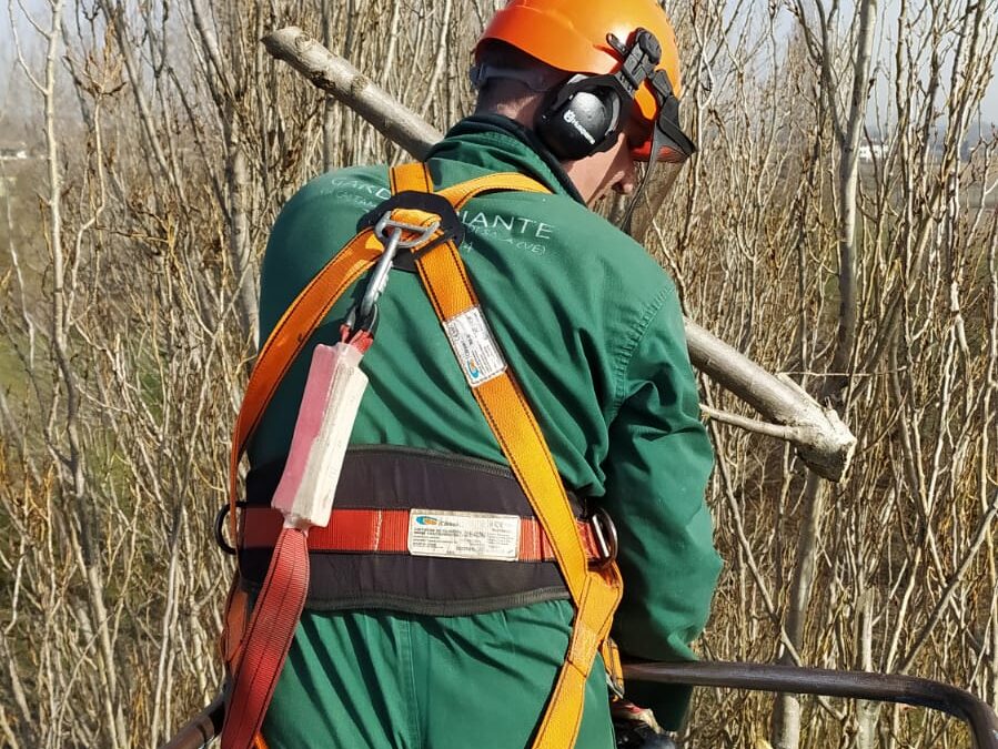 POTATURA PROFESSIONALE: PRENOTA ORA