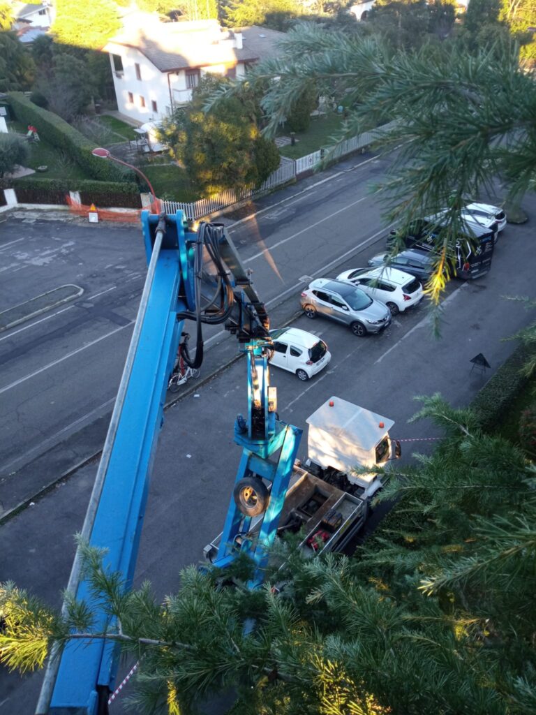 Potatura con con PIATTAFORMA AEREA di albero
