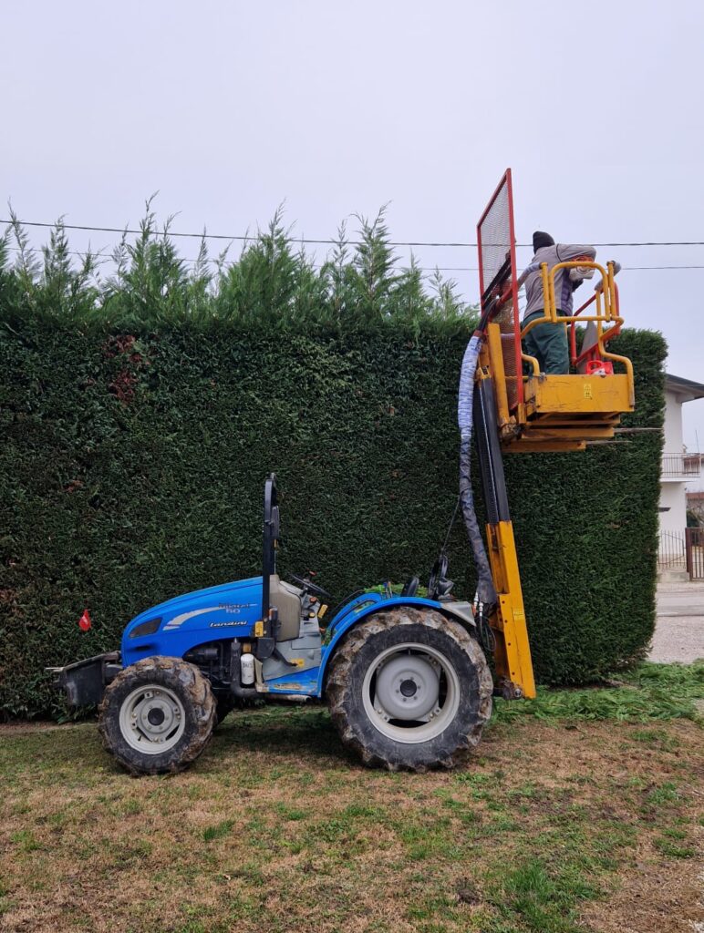Potatura siepe professionale con macchinari specializzati