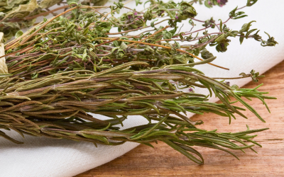 COME ESSICARE LE ERBE AROMATICHE A CASA