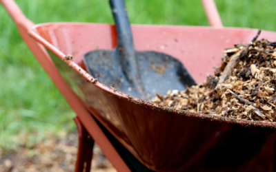 I LAVORI DA FARE IN GIARDINO AD OTTOBRE