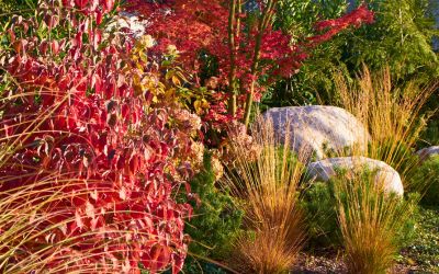 LAVORI IN AUTUNNO PER UN GIARDINO DA SOGNO
