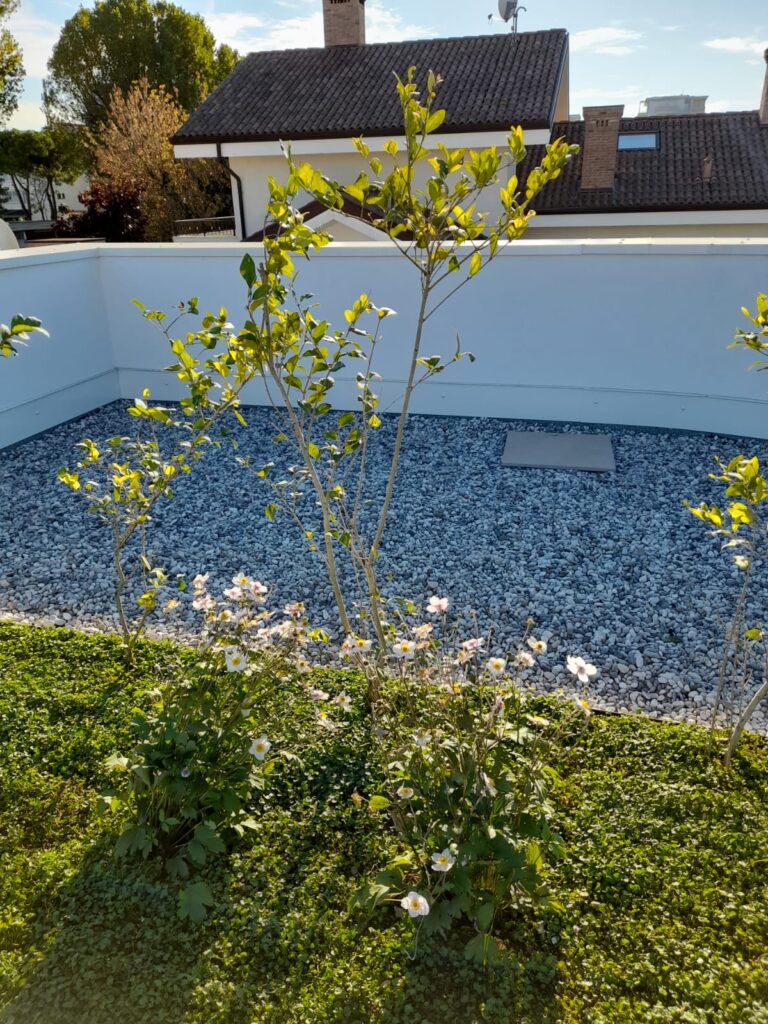 Tetto Verde e giardino pensile con piante realizzato da Vivai GARDIN PIANTE, specializzati in piante da giardino e da interno e realizzazione e creazione giardino, terrazzo, tetto verde, impianti antizanzare tra Padova, Venezia e Treviso