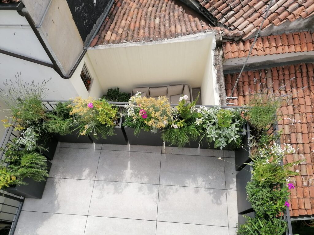 Terrazzo con piante realizzato da Vivai GARDIN PIANTE, specializzati in piante da giardino e da interno e realizzazione e creazione giardino, terrazzo, tetto verde, impianti antizanzare tra Padova, Venezia e Treviso