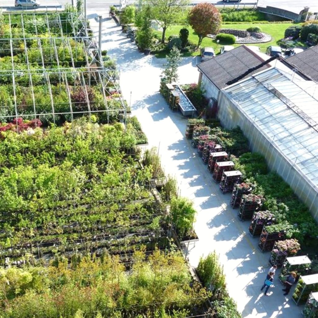 Vista dall'alto dei Vivai GARDIN PIANTE, specializzati in piante da giardino e da interno e realizzazione e creazione giardino, terrazzo, tetto verde, impianti antizanzare tra Padova, Venezia e Treviso