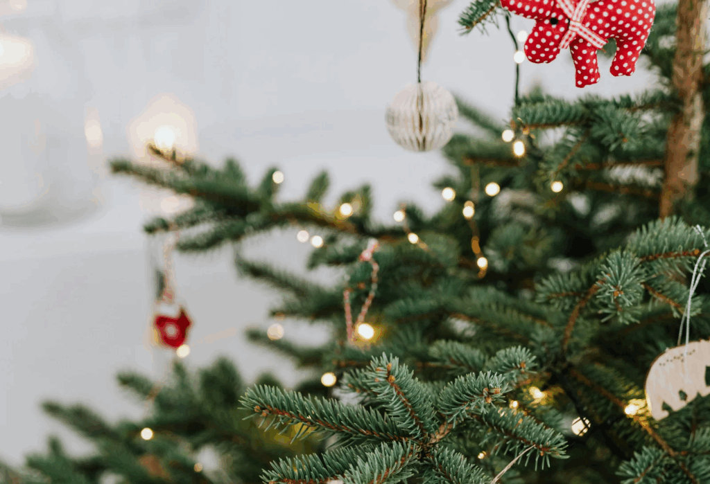 Dettaglio abete come albero di natale decorato con candele bianche, palline rosse e dorate e regali