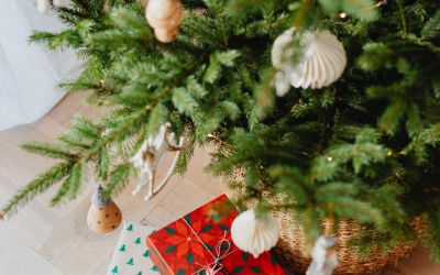 COME FAR SOPRAVVIVERE L’ALBERO DI NATALE IN CASA